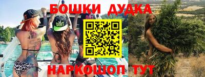 Альфа ПВП Сланцы