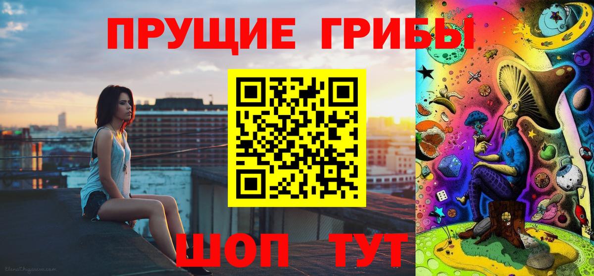 Галлюциногенные грибы Psilocybine cubensis Партизанск
