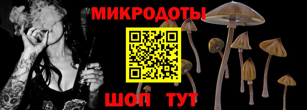 Партизанск  Псилоцибиновые грибы Psilocybine cubensis  Вход с VPN 
