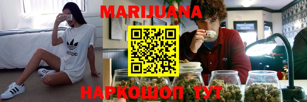 Конопля планчик  Канабис OG Kush  Партизанск  Вход с VPN 